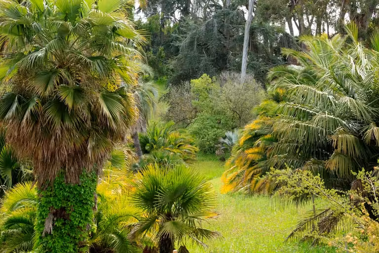 jardín en Cap de Antibes