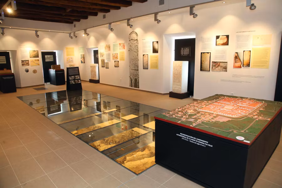 Centro de Interpretación del León Romano (León).