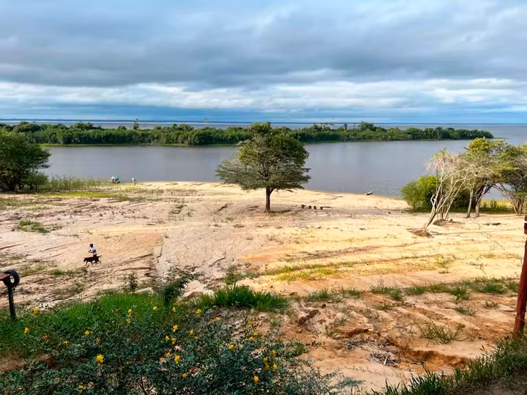 zona de tierra junto al Amazonas