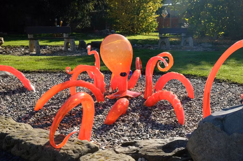 Pulpo en el Jardín de Cristal.