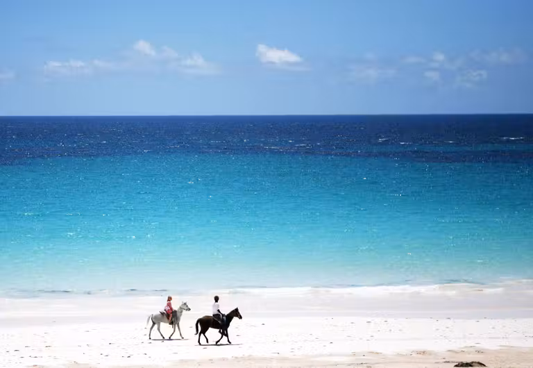 Pink Sand Beach visita obligada en Harbour Island para mujeres que viajan solas