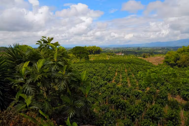 Naturaleza en Armenia