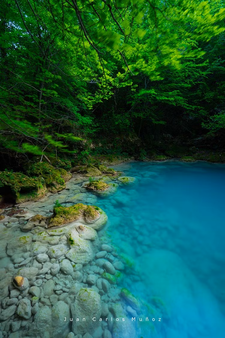 Sorprendente tonalidad azulada del Nacedero del Urederra.