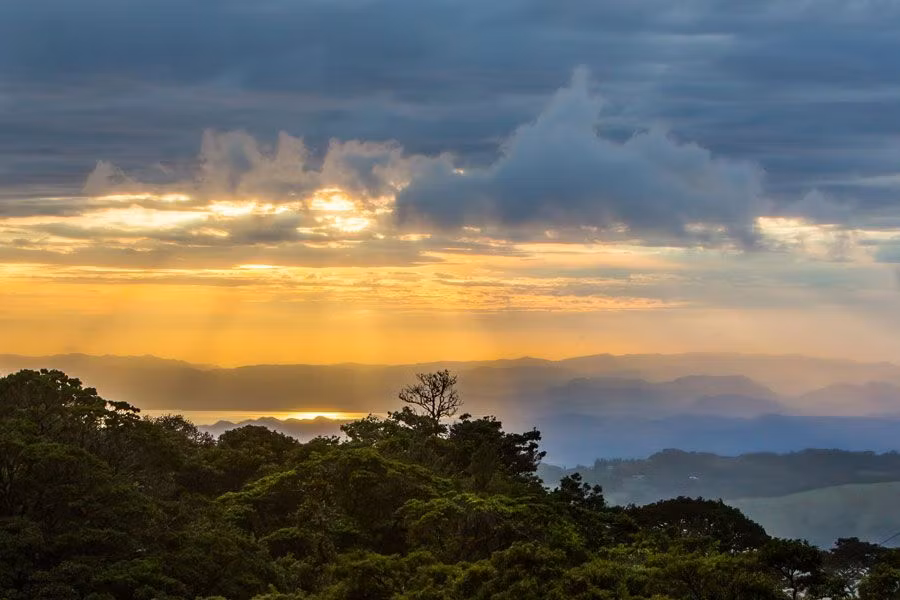 Bosque Nuboso de Monteverde.