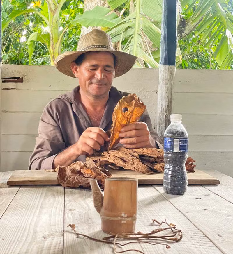 Guajiro liando un puro.