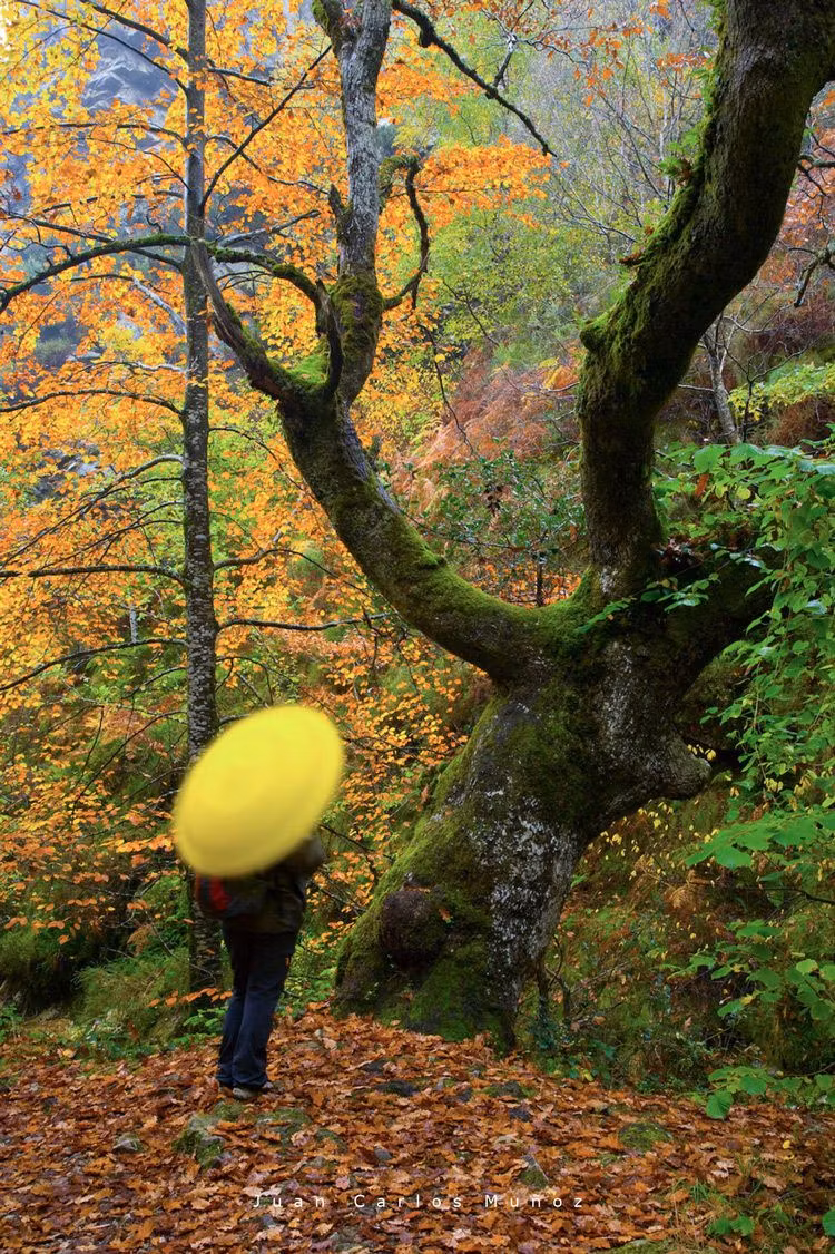 monasterio hermo ruta asturias