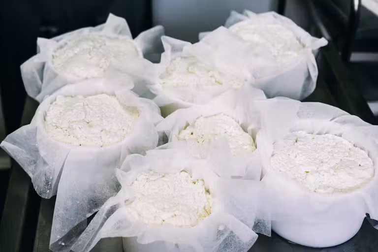 Queso fresco de San Cristóbal de La Laguna.