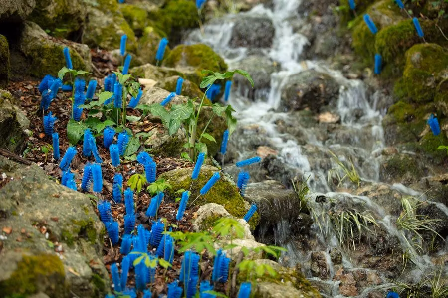z25 Festival de los Jardines de Chaumont sur Loire