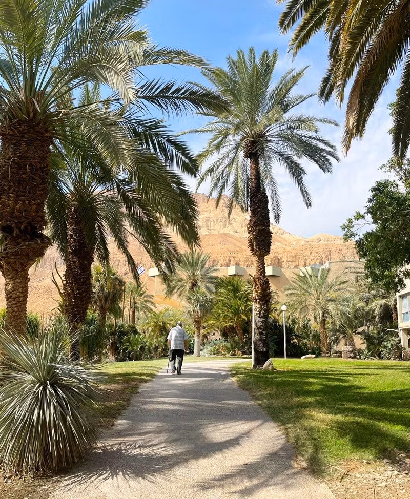 Un anciano kibutz pasea por un jardín de Ein Gedi