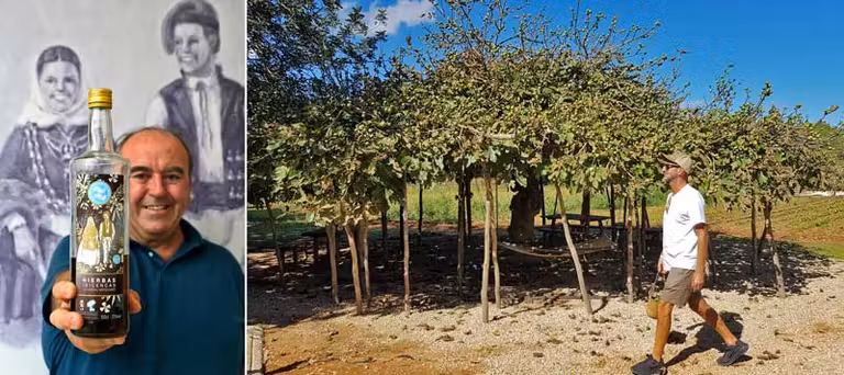 licor de hierbas de Ibiza y granja ecológica