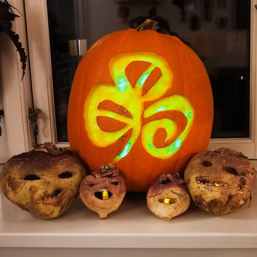 Nabos tallados según la tradición irlandesa.
