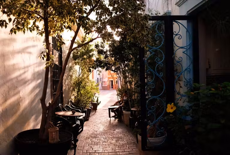 En el entramado de callejuelas de la medina encontrarás coquetas teterías.