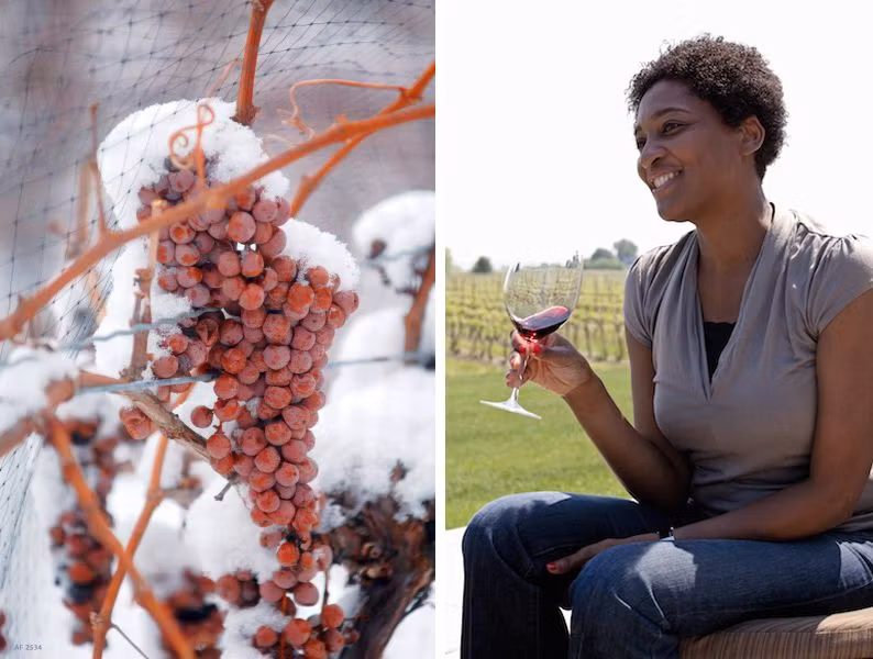 enoturismo en canada, viajes a canada, vinos en niagara