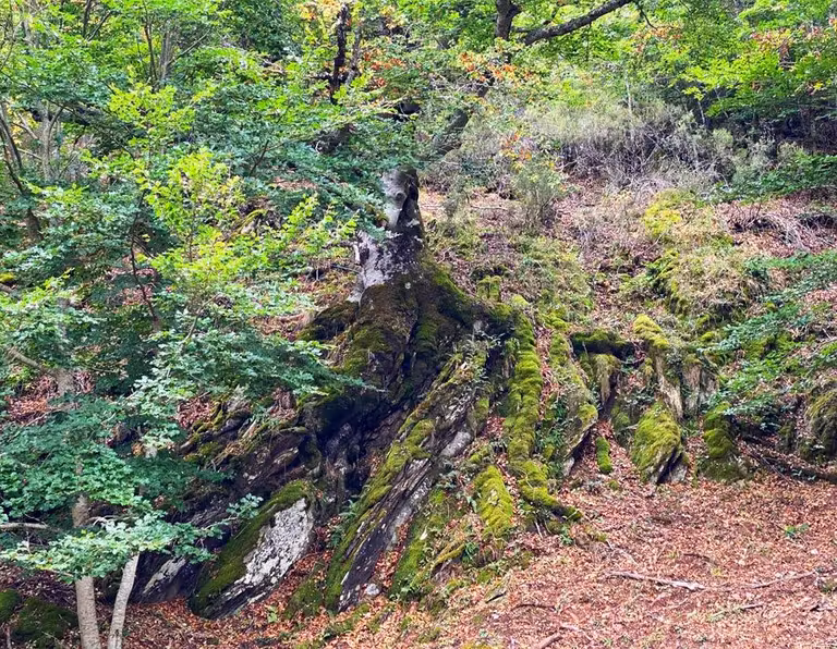 haya de la roca montejo