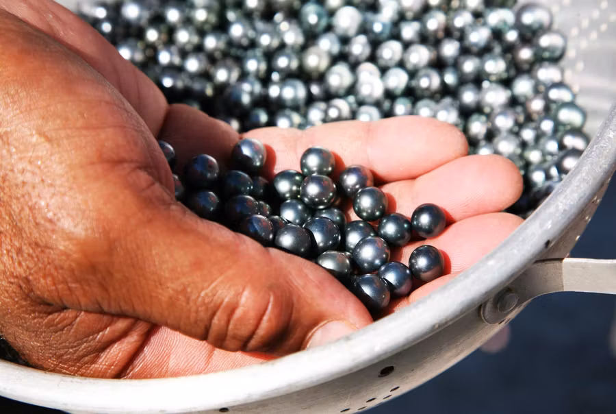 Fakarava, el paraíso de la perla negra de Polinesia