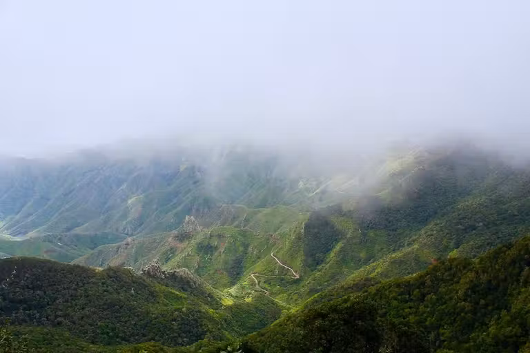 Las brumas se quedan atrapadas entre bosques y montañas del macizo de Anaga