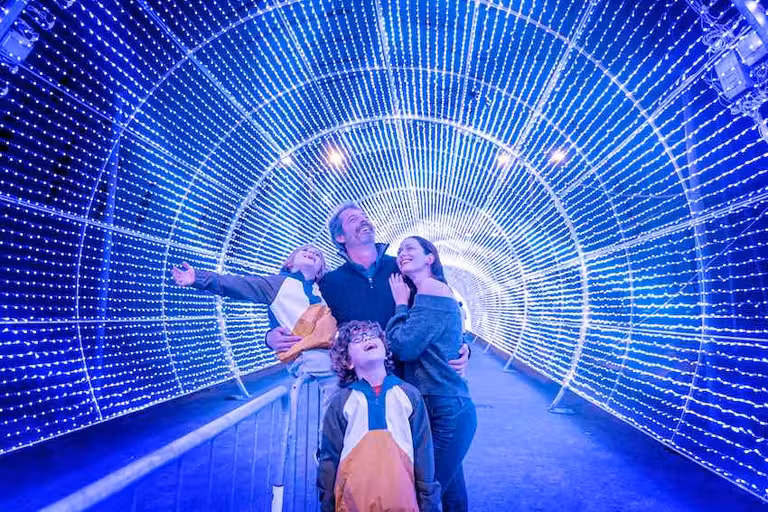 Funchal en Navidad luce aún más luminosa que de costumbre.