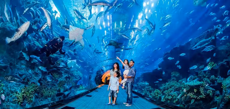 Acuario del Dubai Mall.