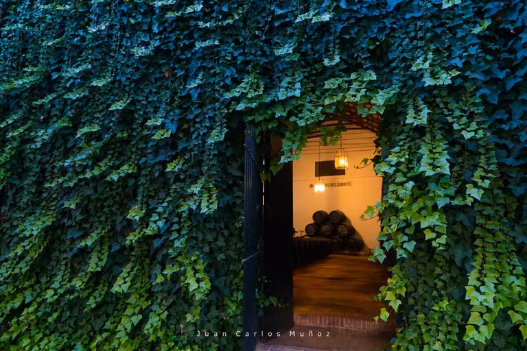 bodega de puente genil