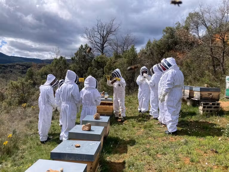 Apiturismo en Territorio Obarenes.