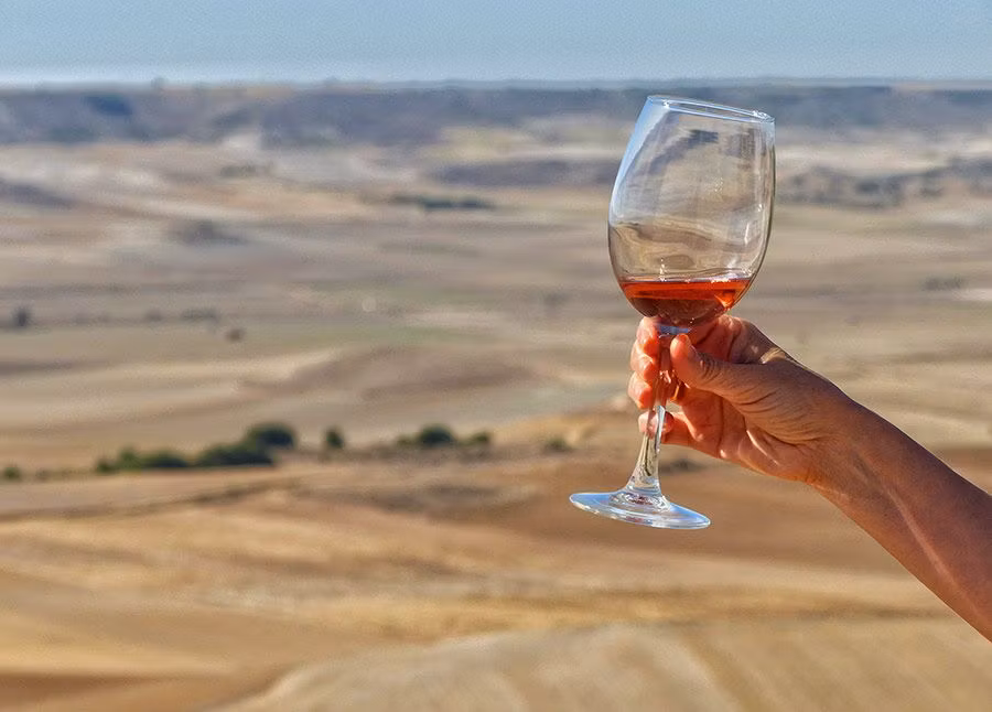 copa de rosado en la ruta de cigales