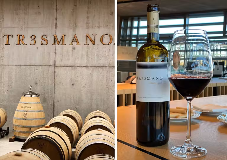 bodega tresmano ribera del duero