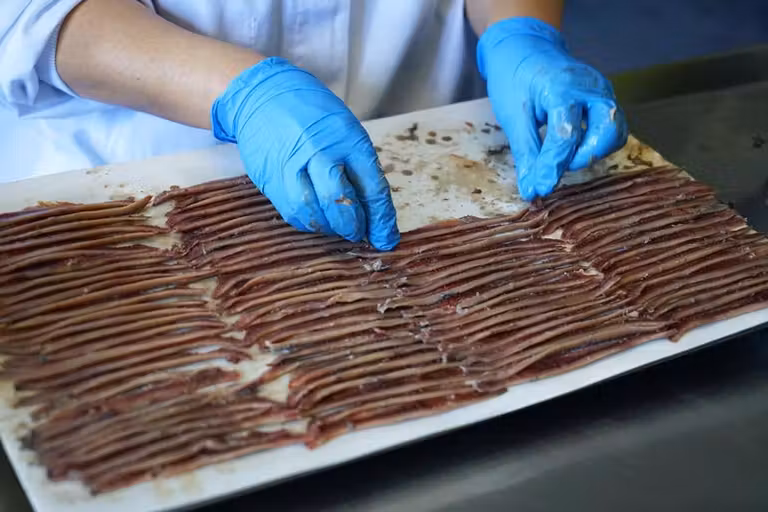 En Anchois Roque podéis descubrir la elaboración tradicional de la anchoa.