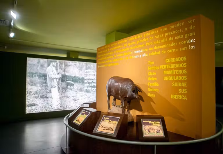 museo del jamon aracena huelva