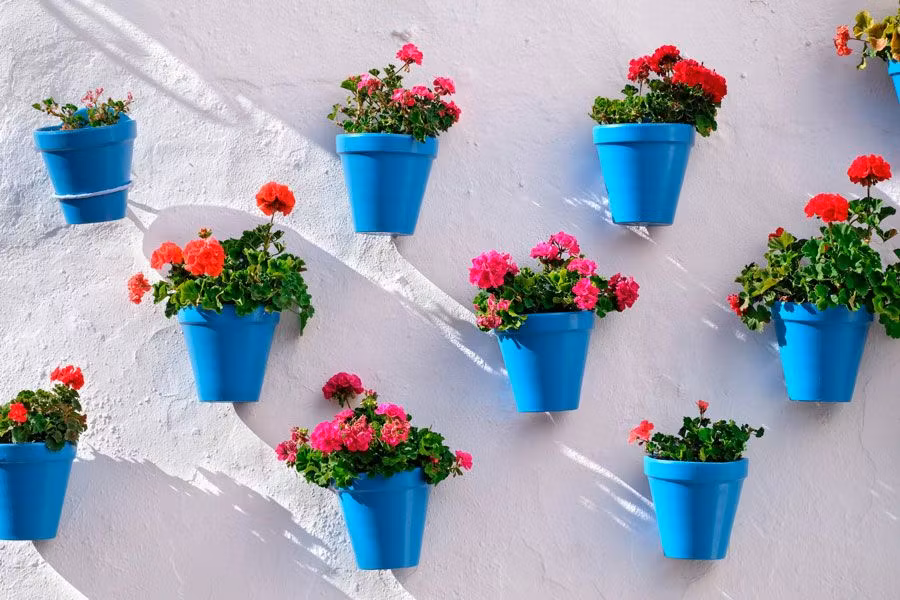 Fin de semana en Marbella con amigas