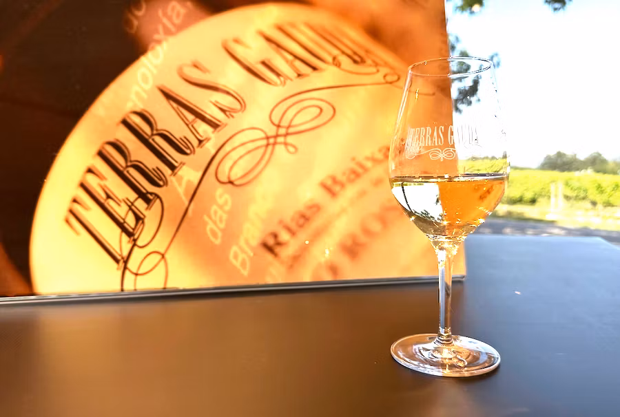 Bodega Terras Gauda.