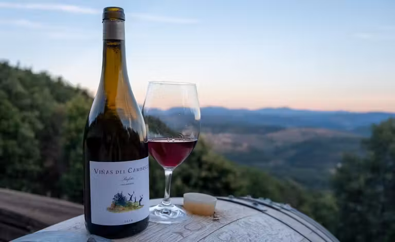 cata vinos bodega cambrico