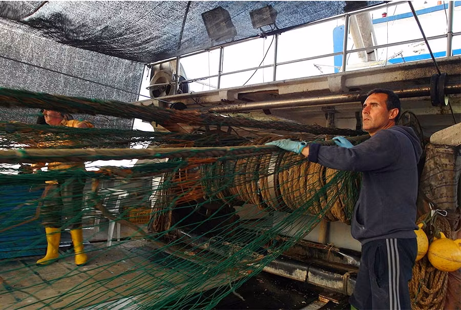 marineros de pescaturismo castellon