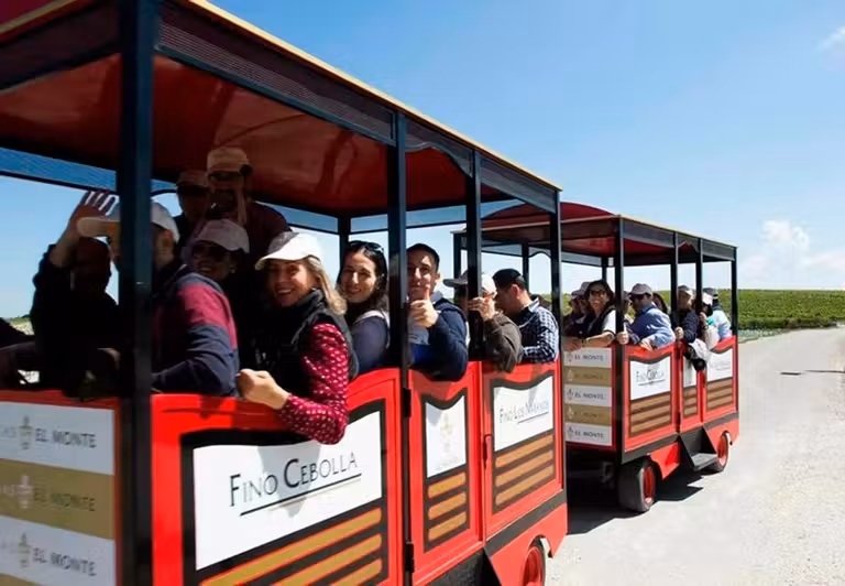 tren turistico lagar el monte montilla moriles