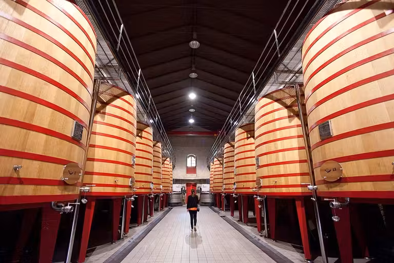 ruta con amigas rioja alavesa