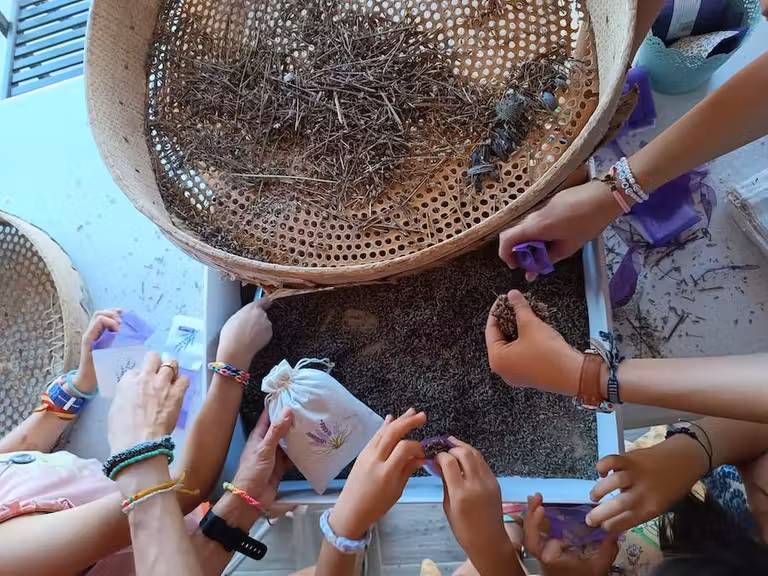 Talleres con lavanda en Cilleruelo.