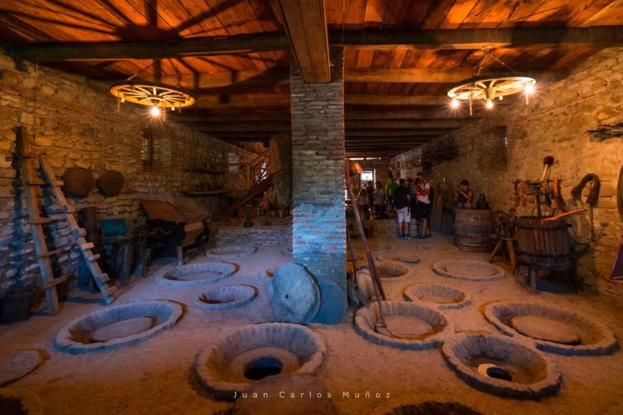 viaje a georgia bodegas de georgia