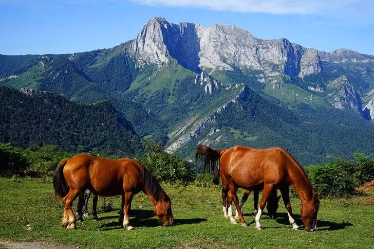 ruta arcenorio asturias