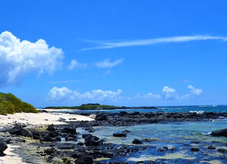 Isla Plate, un lugar ideal para el buceo.