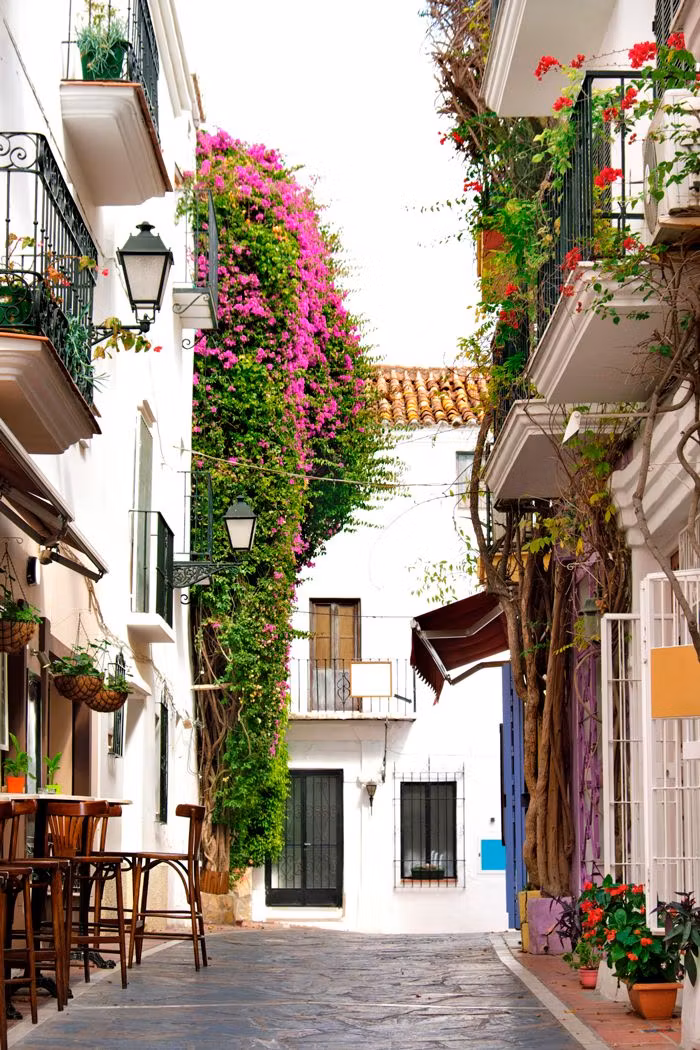 calle tipica de Andalucia