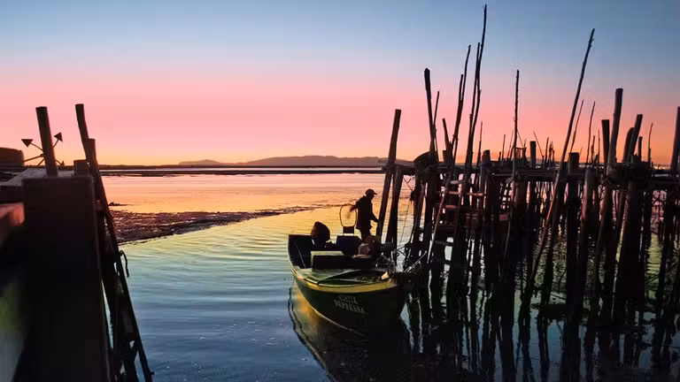 10 cosas que sólo puedes hacer en el Alentejo (y que no te esperas)