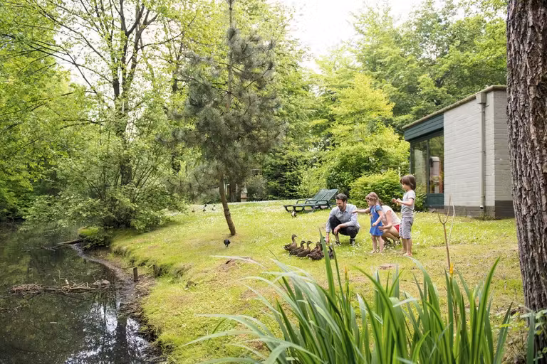 Center Parcs Eemhof, tu alojamiento familiar en Holanda