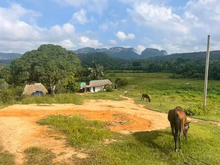 Valle de Viñales.