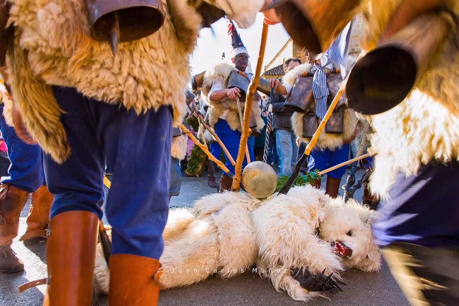 “La matanza del oso” en La Vijanera.