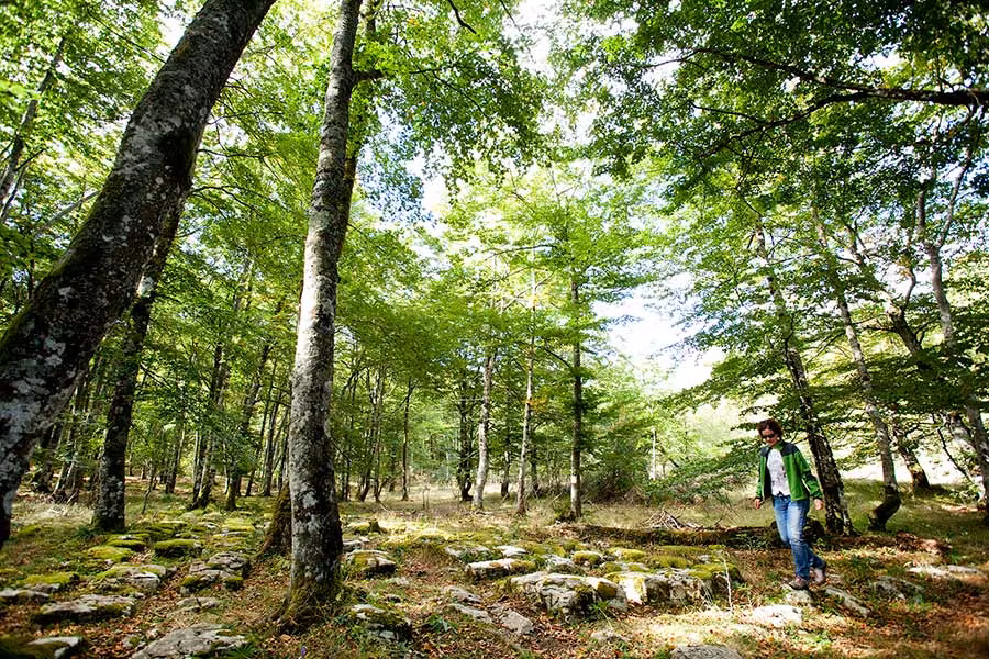 senderismo, rioja alavesa, bodegas alava
