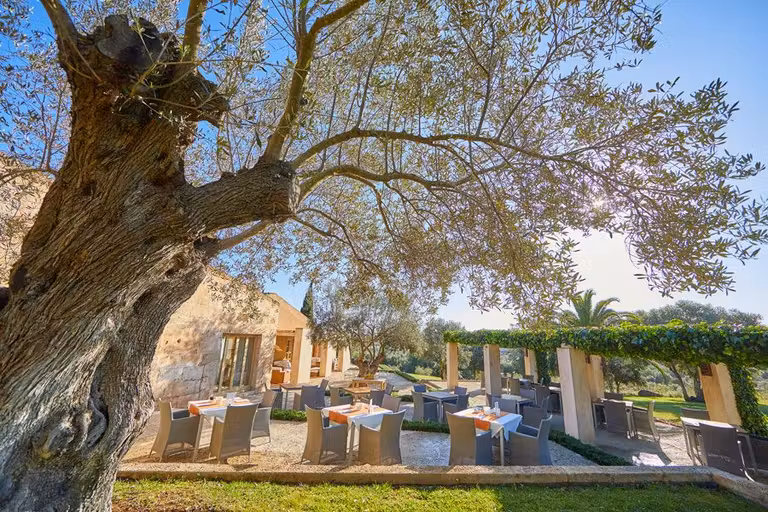 Terraza de Son Penya Petit Hotel & Spa.