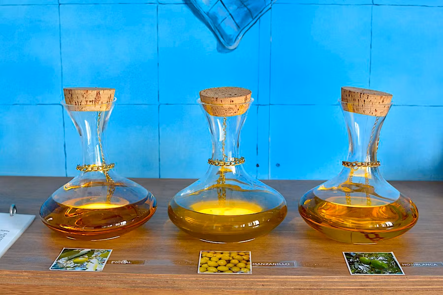 Aceite en el Museo de los Aromas.