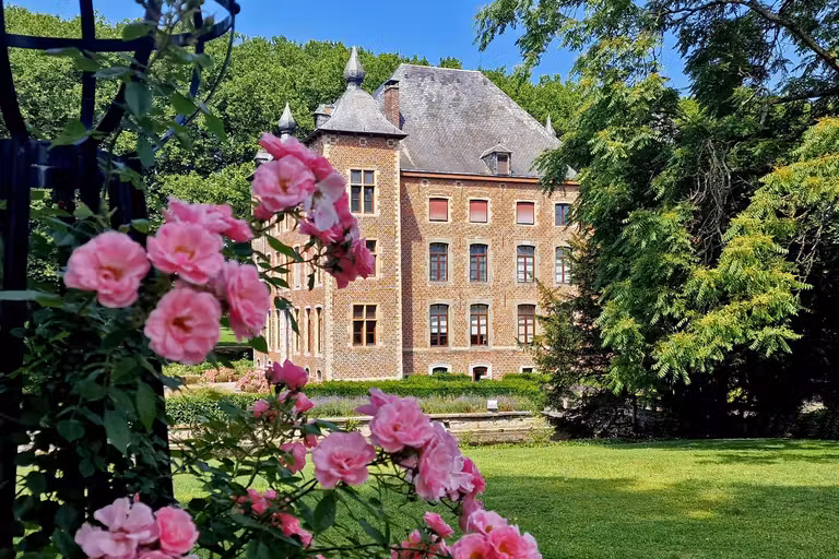 Jardín de rosas en el castillo de Coloma.