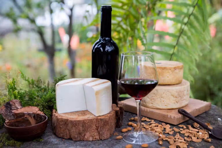 De bodegas (y vendimia) en La Palma con amigas