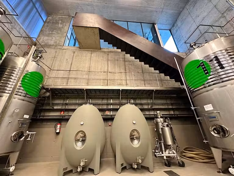 Interior de la Bodega Montepedroso.