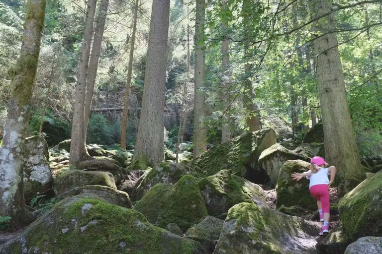 Selva Negra, Alemania, viajes con niños, viajes en familia, viajes a Europa